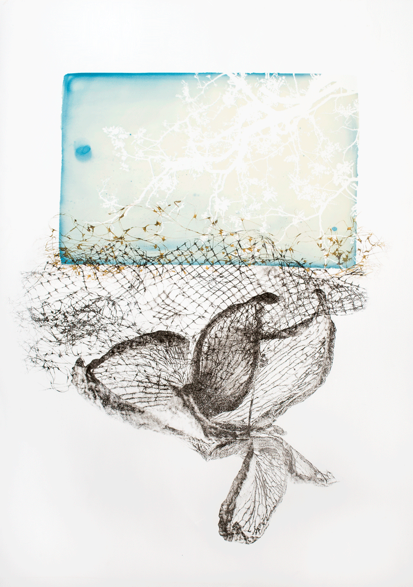 Collage 1