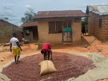 I spy with my little eye