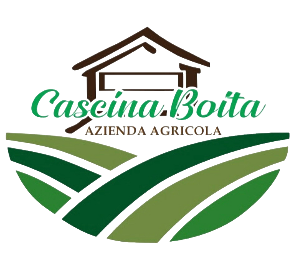 boita_logo.png