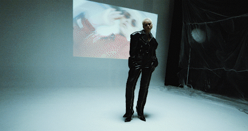 transition and motion graphics