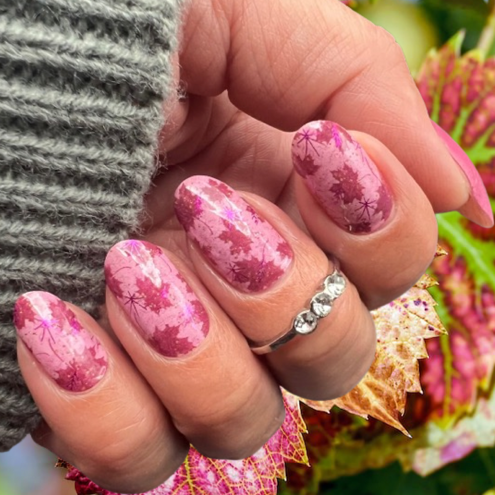 Thumbnail: Magenta Maple