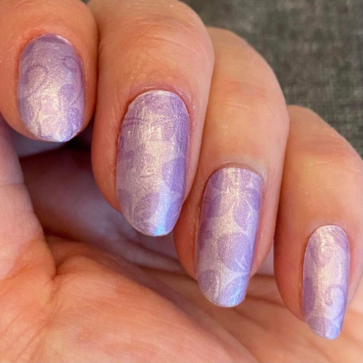 Miniatura: Luscious Lavender