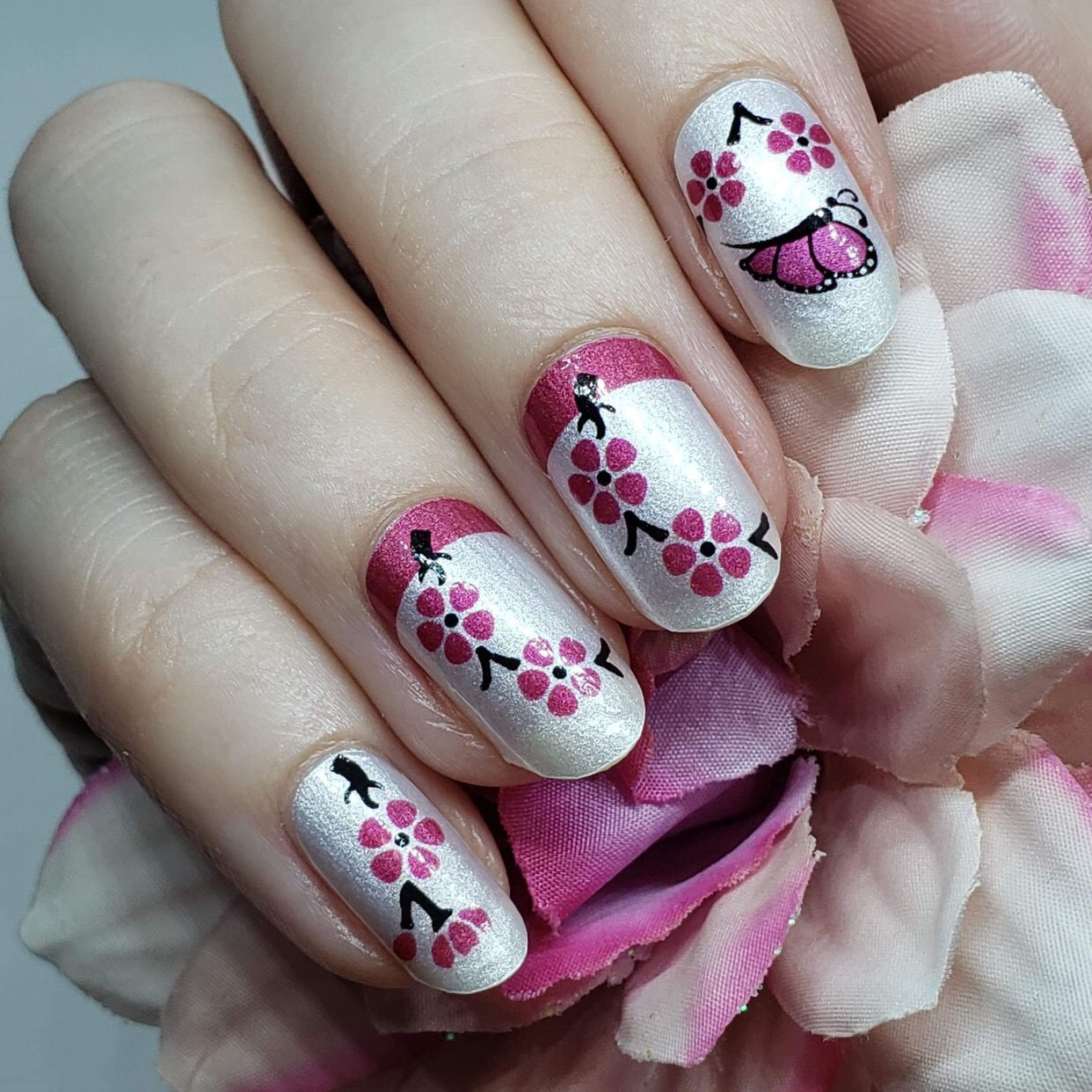 Orchids and Butterflies