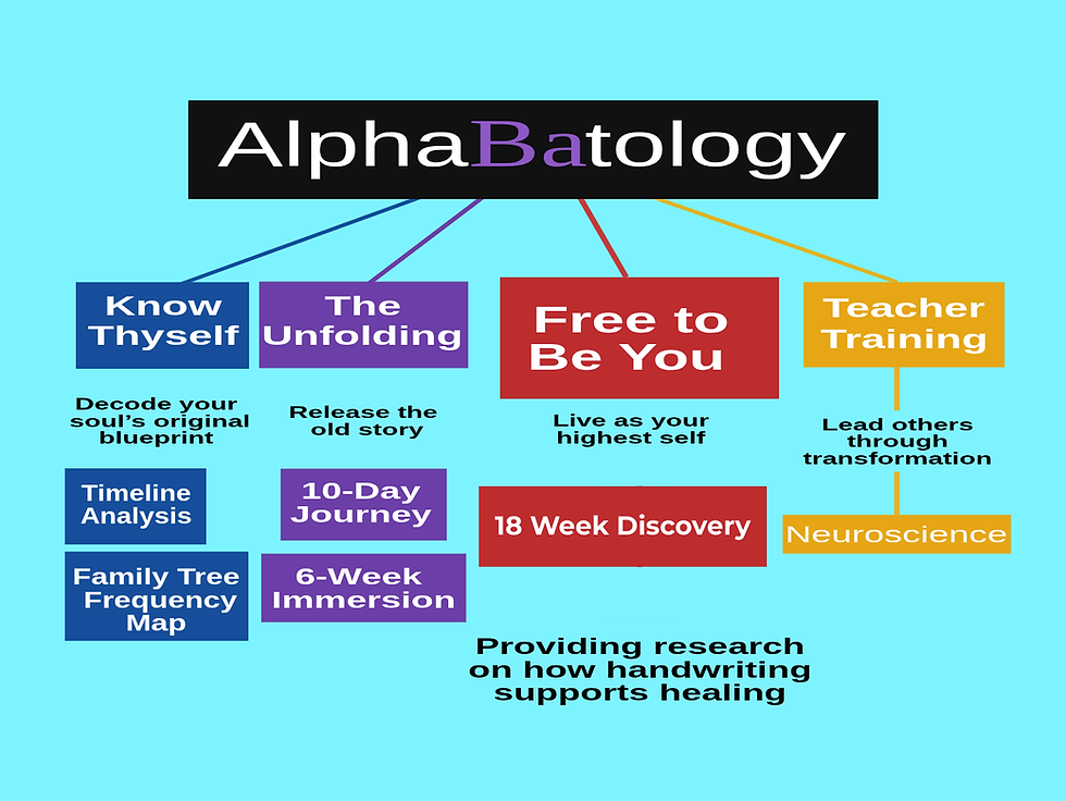 18 Week Discovery-2.png