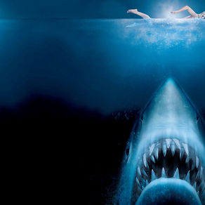 TV-Tipps: 21.10. bis 27.10. 2022