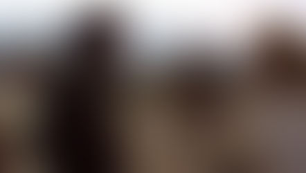 Der Wind und der Löwe