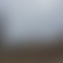 Anselm - Das Rauschen der Zeit