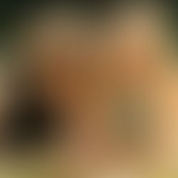 L´été dernier - Im letzten Sommer