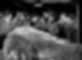 Das Ding aus einer anderen Welt – The Thing from Another World (1951)