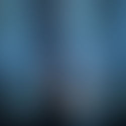 The Man Who Sold His Skin