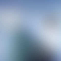 18. Zurich Film Festival (22.9. – 2.10. 2022): Eine Vorschau