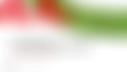 Viennale 2019: Ein Festival der Frauen