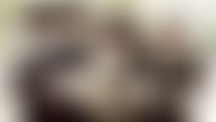 Die drei Musketiere (1973) + Die vier Musketiere (1974)