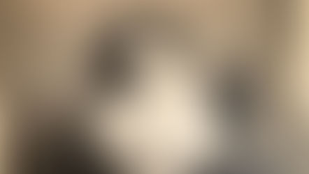 Im Schatten der Bilder