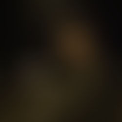 Animals - Wie wilde Tiere