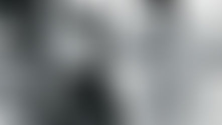 Zerrissen und zerbrechlich: Zum 100. Geburtstag von Montgomery Clift