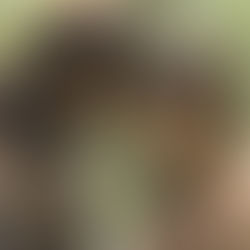 TV-Tipps: 11.3. bis 17.3. 2022