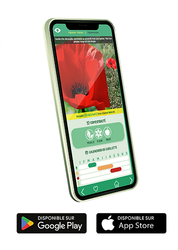 Smartphone Vegedex - Mathilde et Idir.png