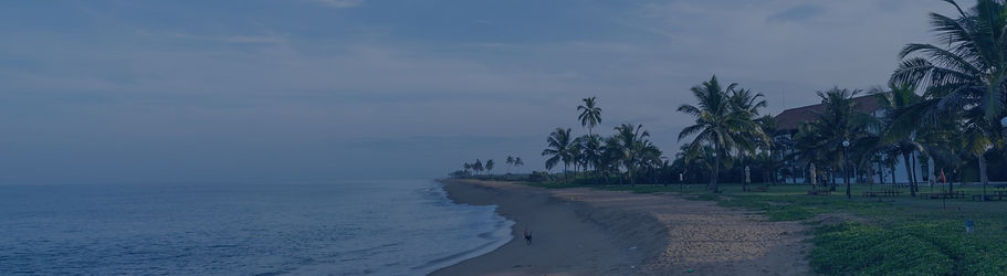 page-banner.jpg