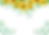 ひまわりの特徴