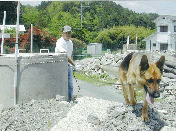 災害救助犬練習風景