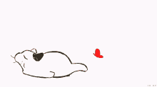 sleepy-cat-cute-cat.gif