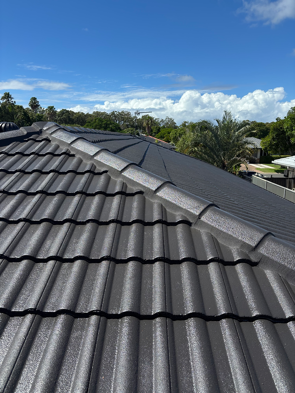 Roof Paint And Pointing