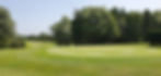 Green golf course with trees under a clear blue sky Golf Lessons.