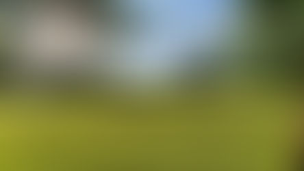 Head GreenKeepers Report: Winter Maintenance Plan 2021-2022