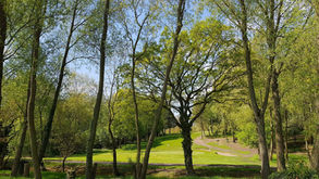 Early Season Results