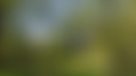 Early Season Results