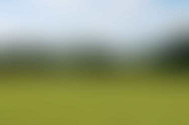 July and August Results