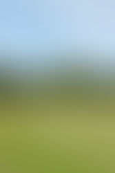 The Drax Journal – Issue 3