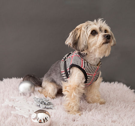 JES made Harness