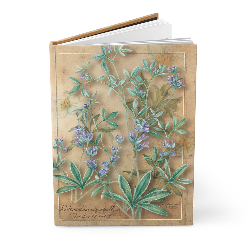 Thumbnail: Silver Scurf-Pea - Botanical Hardcover Journal — Created from Herbarium Plates
