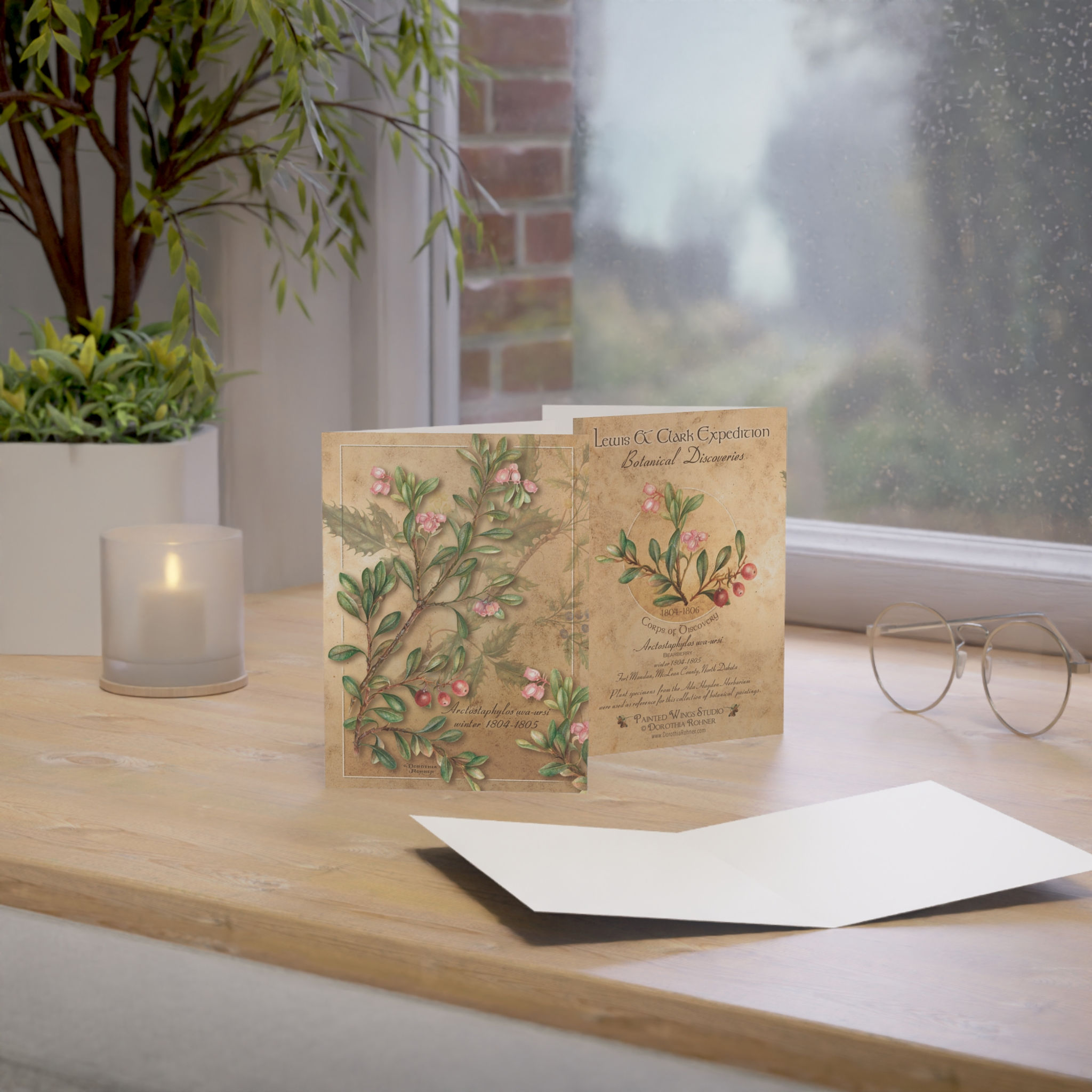 Botanical Notecard — Bearberry- uva-ursi  ( Lewis & Clark Botanical Collection)