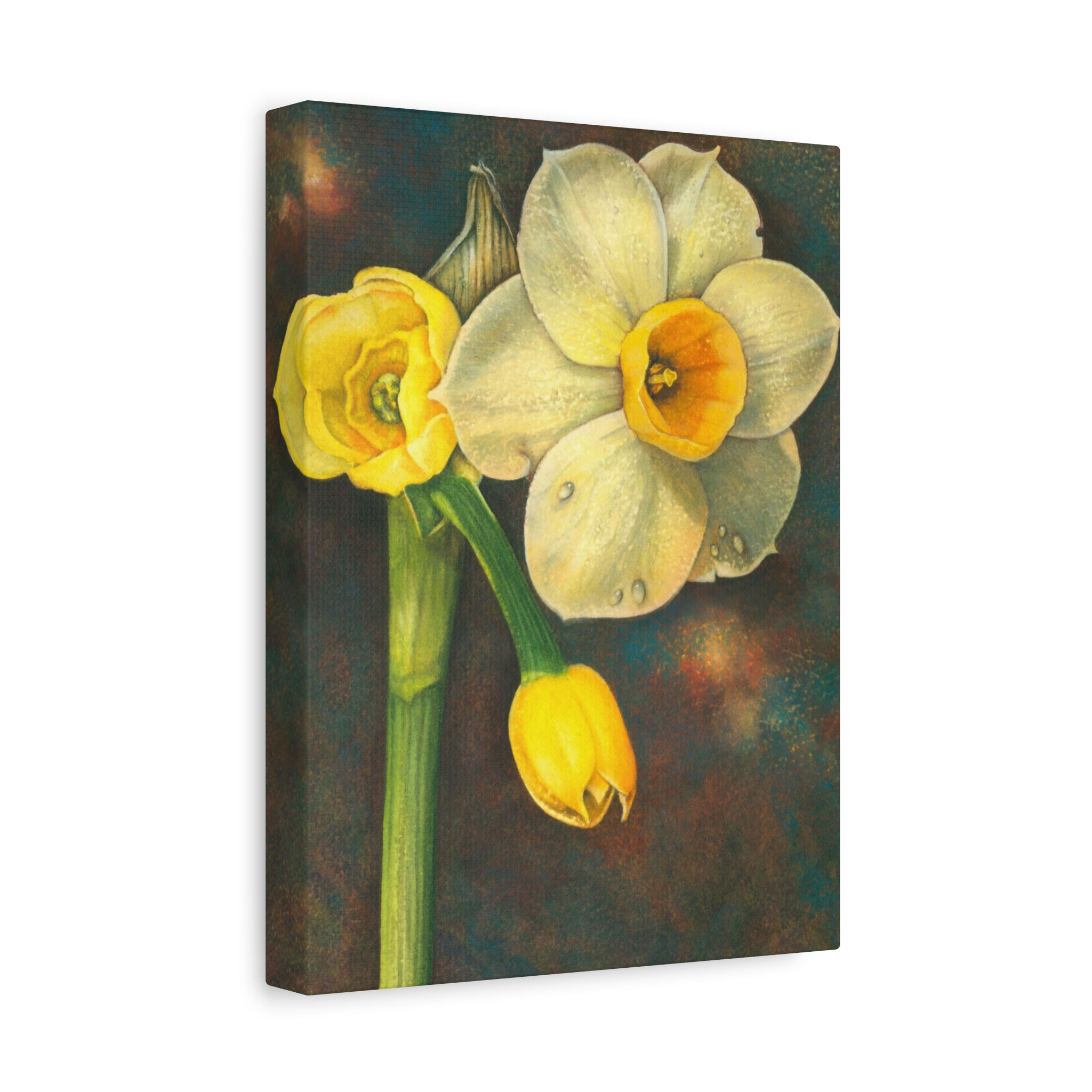 Jonquil Daffodil Botanical Matte Canvas Print — Stretched 1.25"