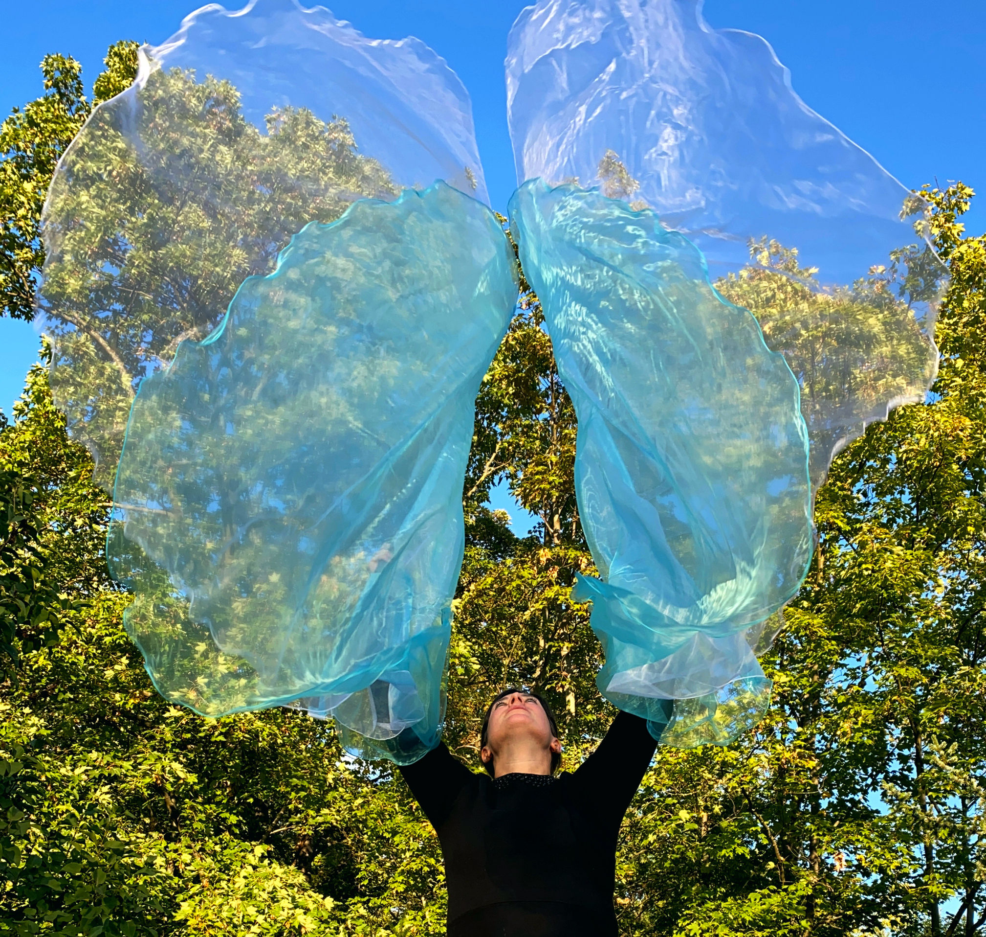 Doppelflaggen Modell "Wasser des Lebens"