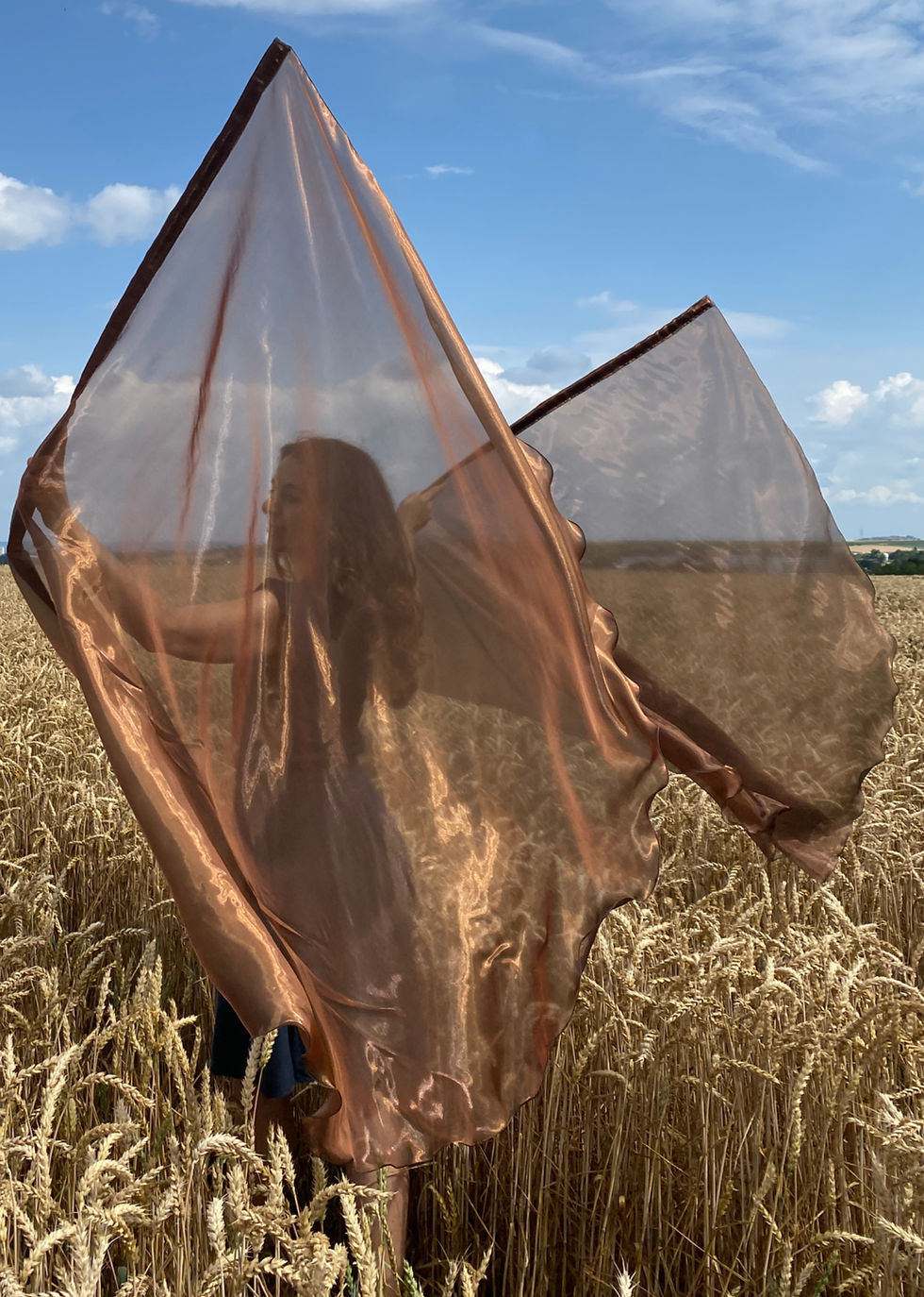 Miniaturbild: Edelglanzflaggen bronze