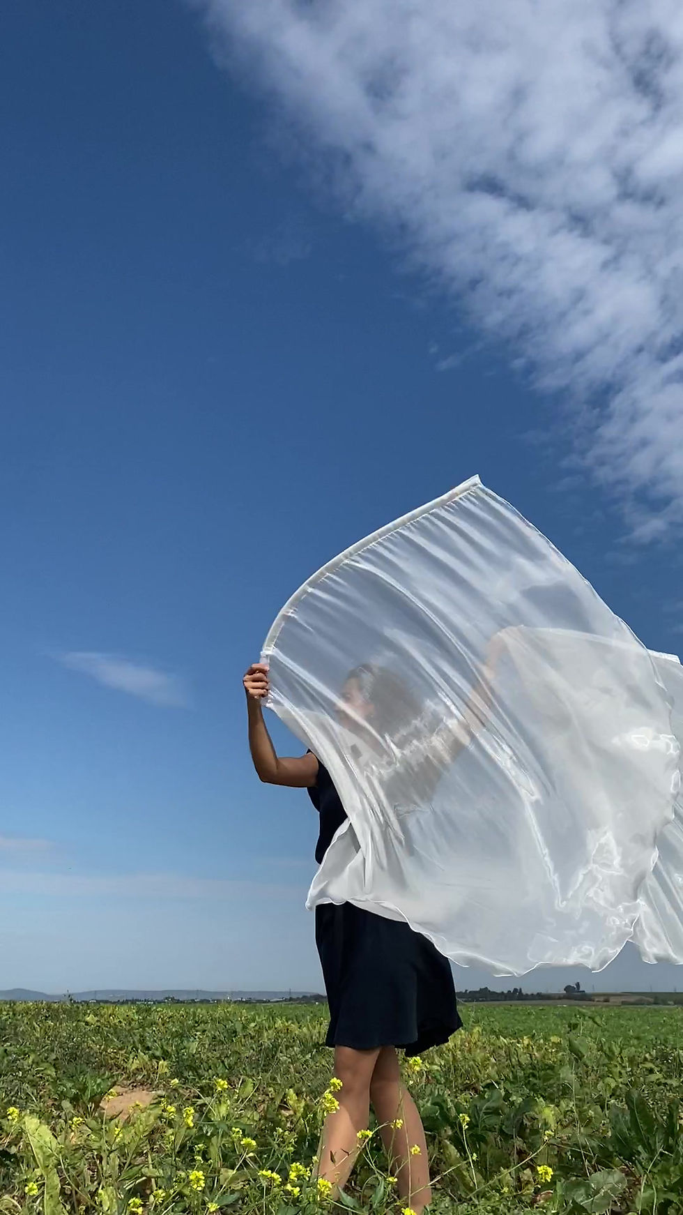 Miniaturbild: Edelglanzflaggen weiß