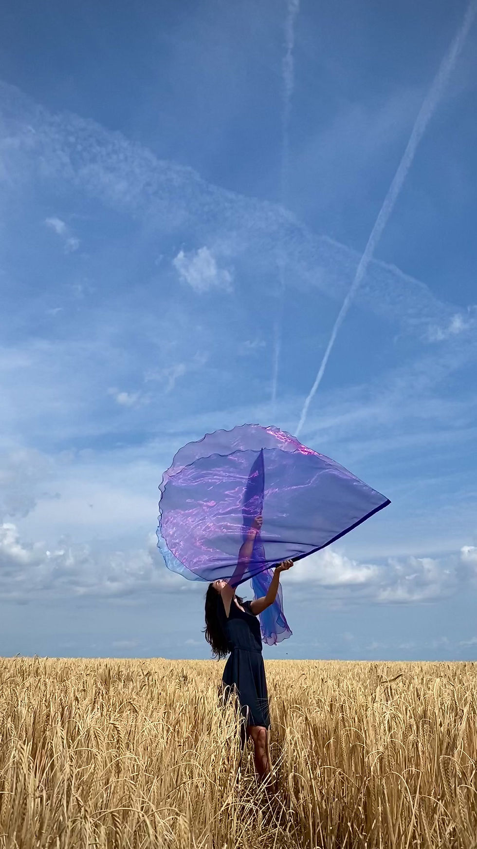 Miniaturbild: Die Königsflaggen