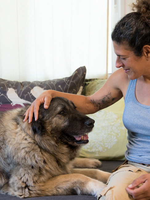 פומה יחד עם נעמי