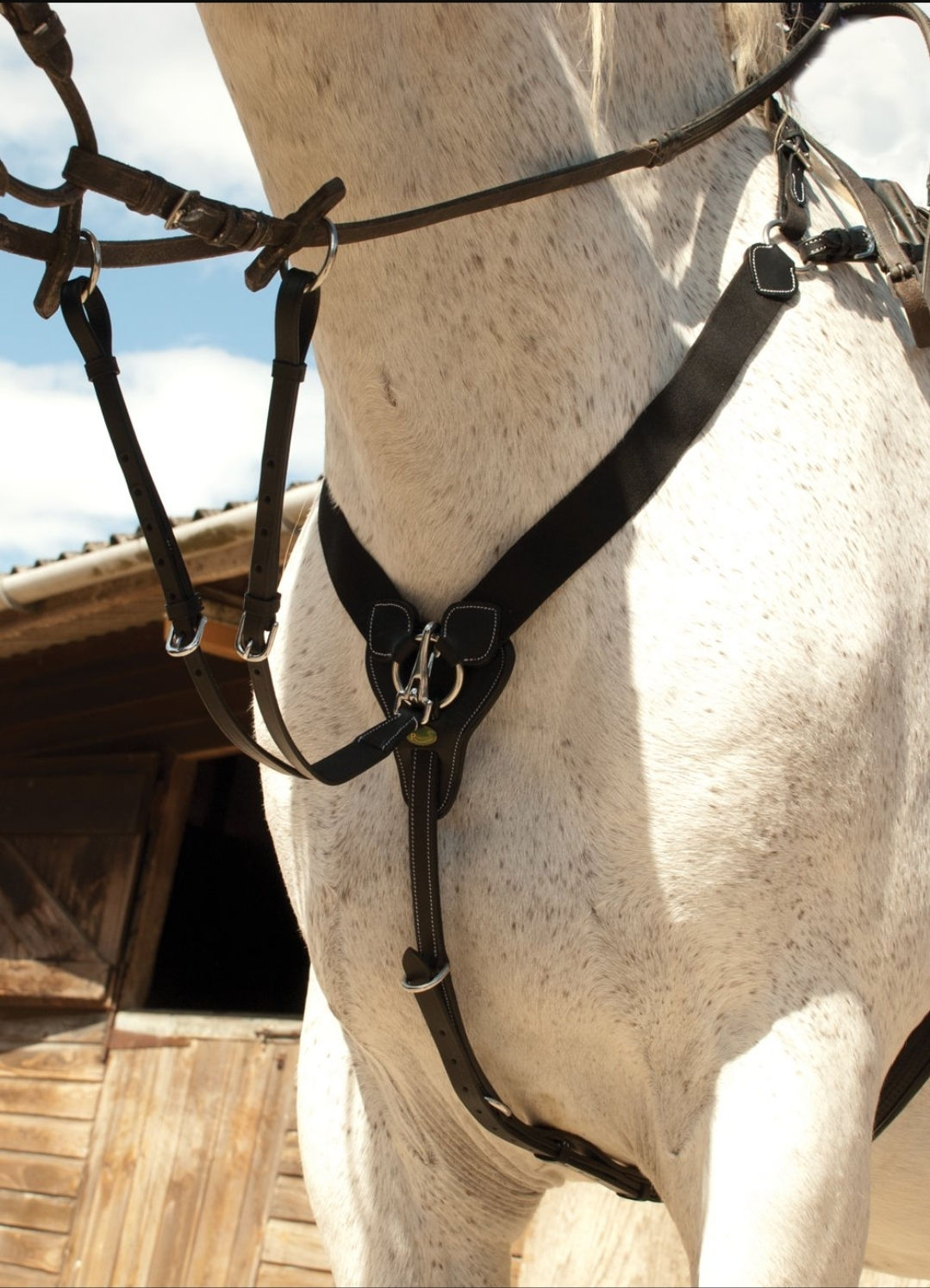 Rhinegold V-Check Breastplate 