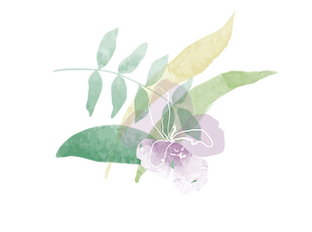 Bluethistle_flowerassets-13.png