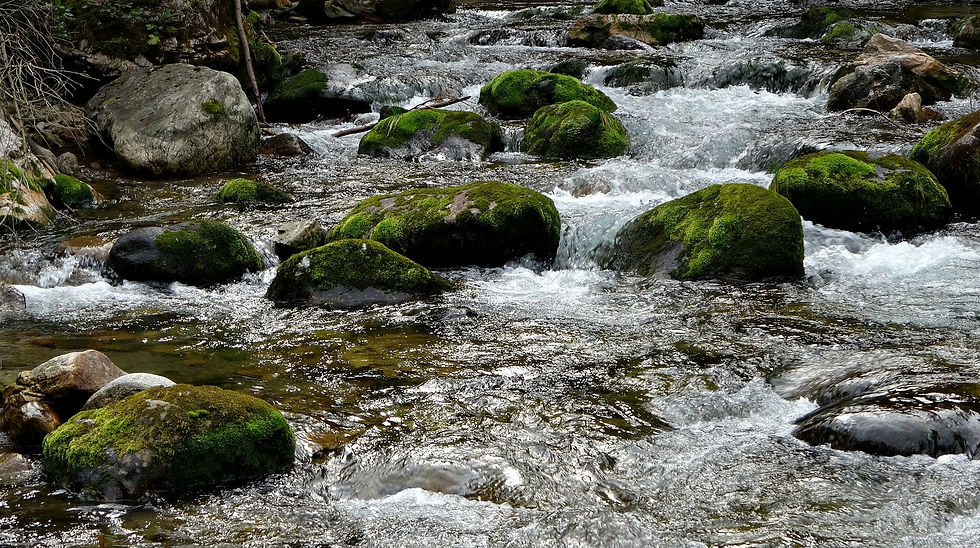 tatry-1645431_1920.jpg