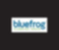 Bluefrog-1.jpeg