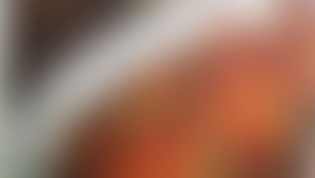 Côtes de porc aux lentilles