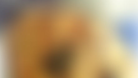 Chaud-froid de volaille