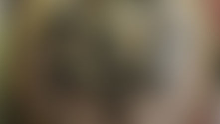 Cervelle froide vinaigrette