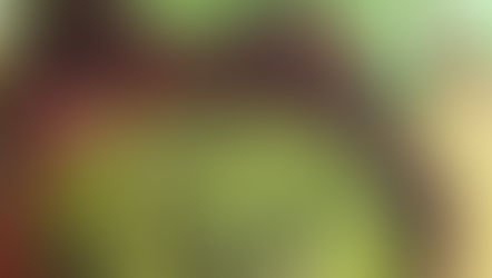 Minestrone de riz et de bettes